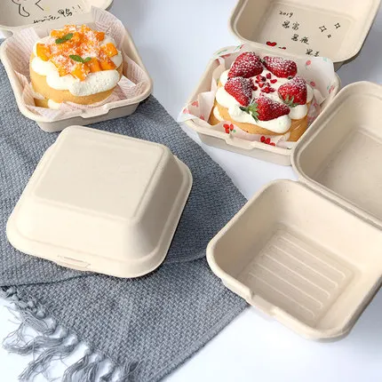 50 Stück umweltfreundliche Ein – Meal Prep For A Day Bewertung und Preis