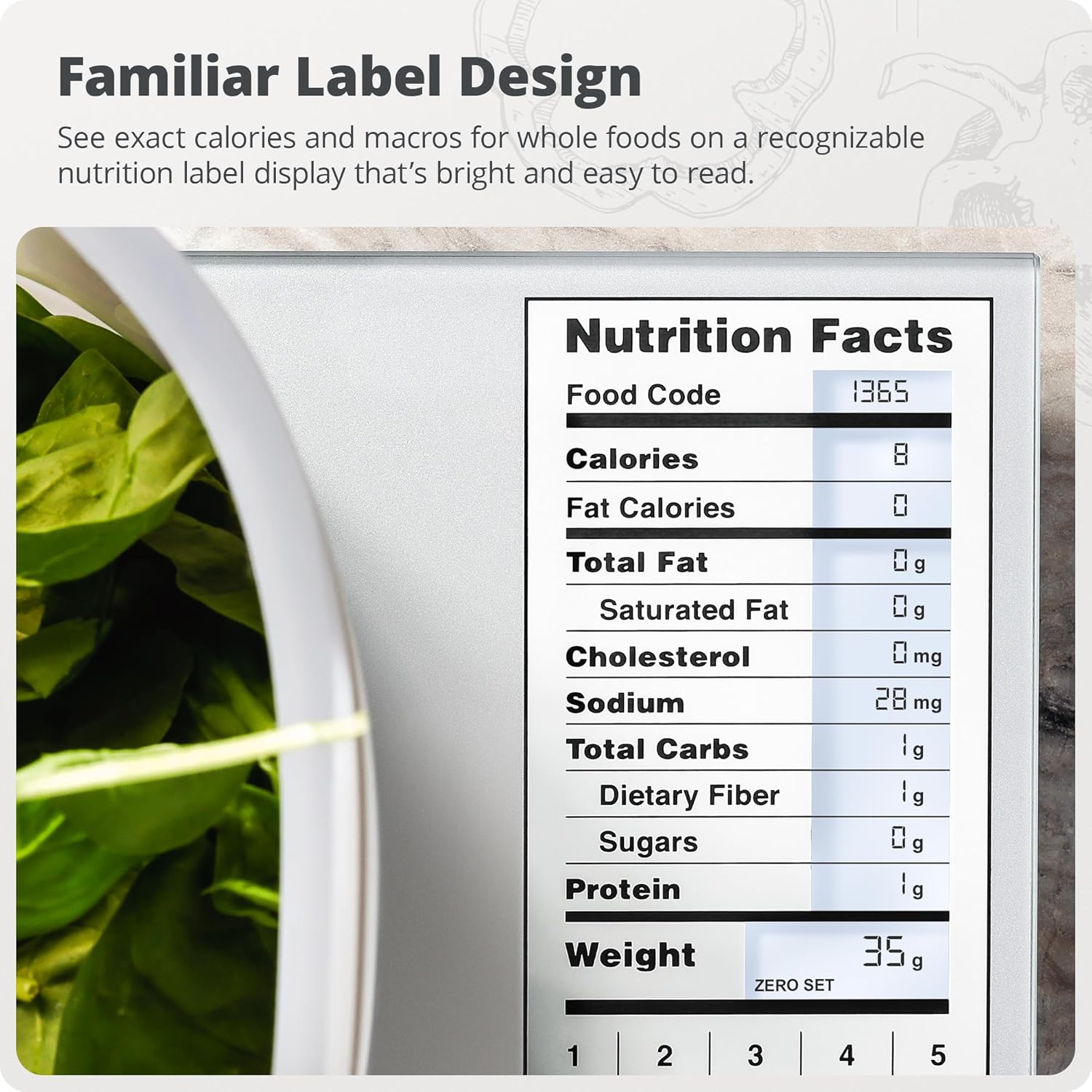 Küchenwaage aus Edelstahl 11lb – Meal Prep For Weight Loss Bewertung und Preis
